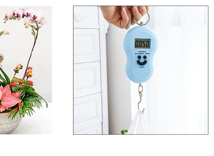 50Kg/110Lb Visoko Precizna Elektronska Vaga | X0.01Lb Preciznost, LCD Pozadinsko Osvetljenje, Više Jedinica (Kg/Lb/Jin/Oz), Prenosiva Džepna Vaga Za Pecanje, Prtljag, Nizak Indikator, Teška - Za Spoljašnju Upotrebu, Plastika, Bez Punjenja, Sa Baterijom