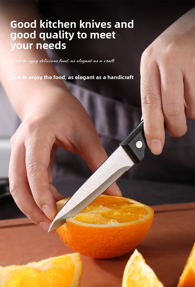 Set od 6 kuhinjskih noževa od visokougljeničnog nehrđajućeg čelika sa plastičnom drškom | Ultra oštri, uključuje nož za sečenje i nož za voće, oštrice od 304 nehrđajućeg čelika, drvene drške