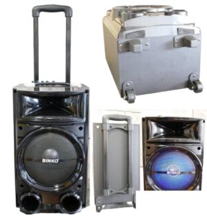 ZVUČNIK Bluetooth BiNKO BK-800 sa Mikrofonom