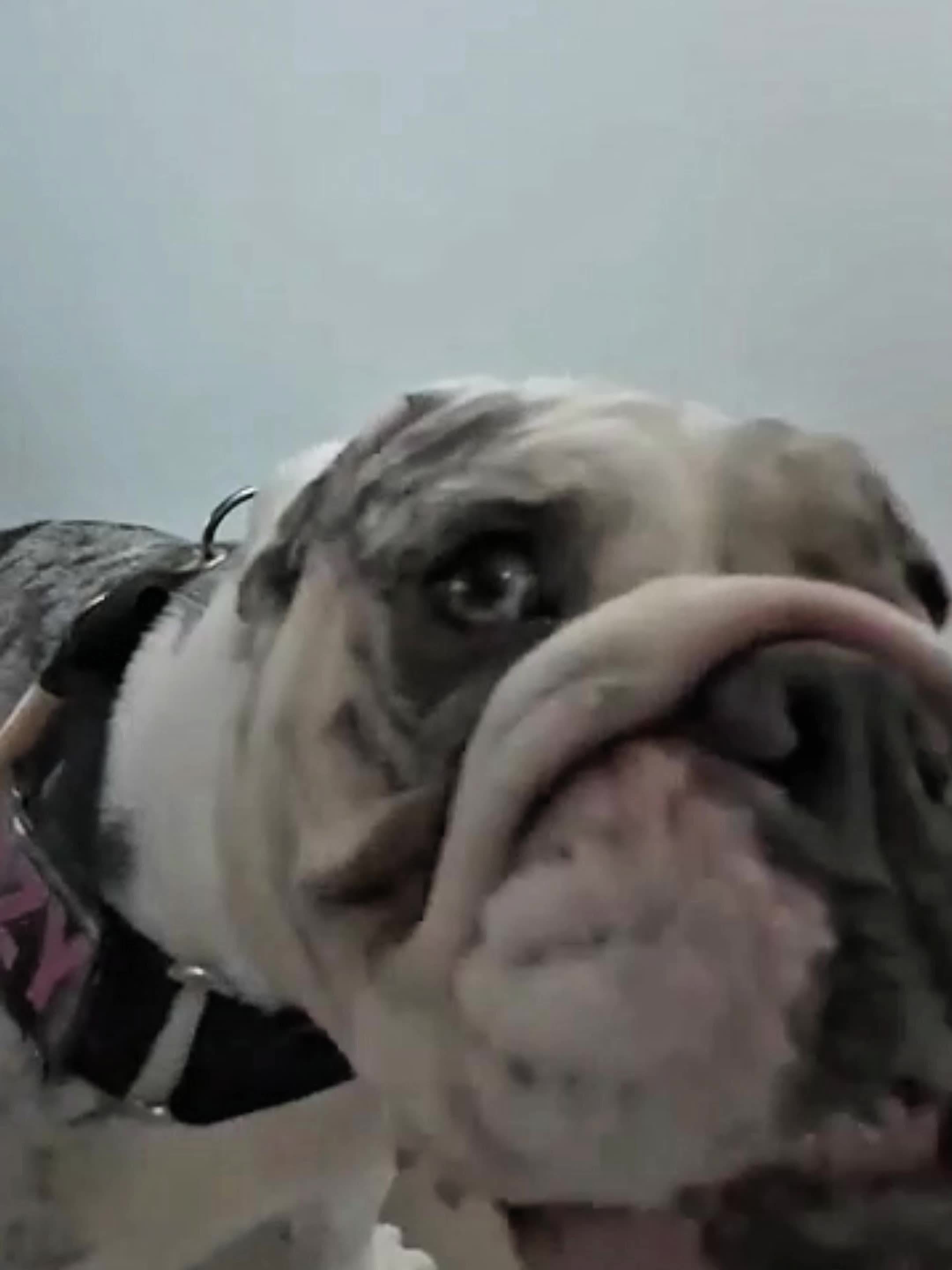 Mini kamera za auto 1080P Full HD AI nocni mod - Slika 11