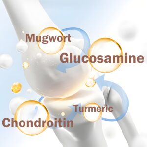 Glukozamin Hondroitin Flaster
