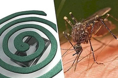 Dimne spirale protiv komaraca - Slika 2