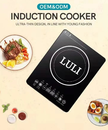 Indukcioni rešo – LULI – Grejna ploča - Slika 6