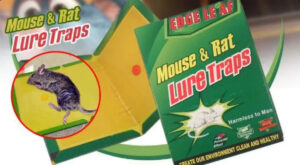 Lepljiva klopka za miševe – 2 za 999din!