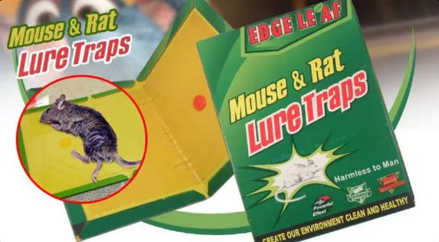 Lepljiva klopka za miševe – 2 za 999din! - Slika 2