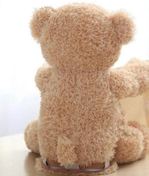 Meda koji govori igračka za decu