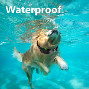 Ogrlica za dresuru pasa – domet 800m