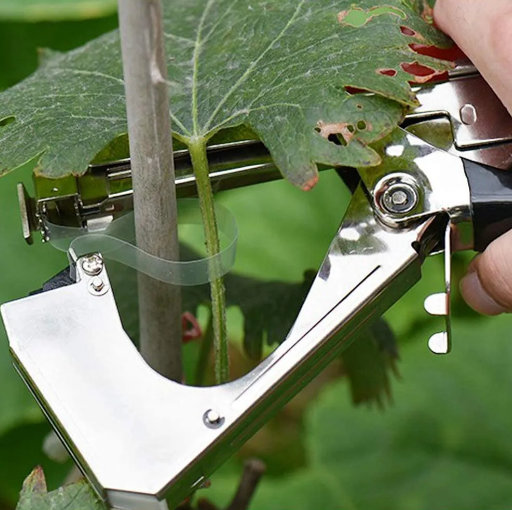 Vezačica za vinovu lozu - Slika 3