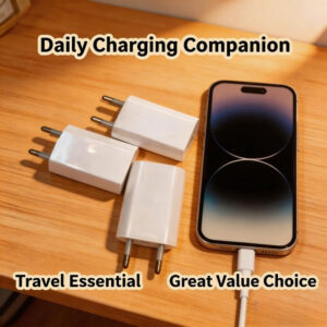 Univerzalni EU utikac USB zidni adapter 5V 2A