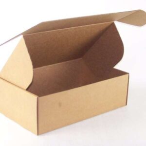 Ekstra jaka Kraft papirna kutija za slanje 30 komada C