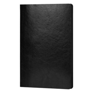 ALAMO notes a5 crni