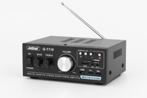 Anduul Q T110 Bass Pojacalo Kucni Audio Pojacivac