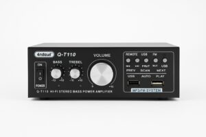 Anduul Q T110 Bass Pojacalo Kucni Audio Pojacivac