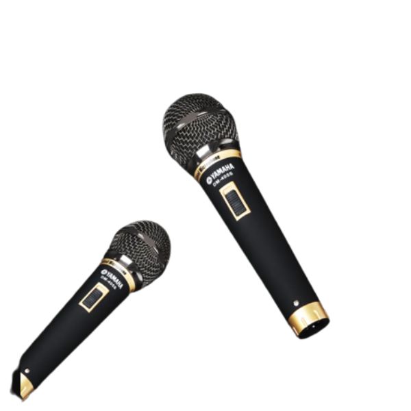 Bezicni mikrofon za karaoke - Slika 4