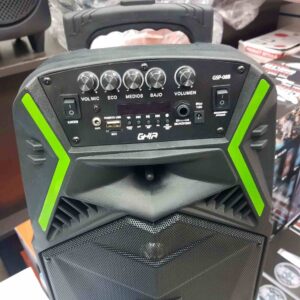 Bluetooth veliki zvucnik i bezicni mikrofon Bluetooth veliki zvucnik i bezicni mikrofon