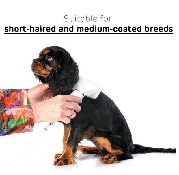 Cesalj za pse 2 u 1 Pet Grooming dryer Cesalj za pse 2 u 1 Pet Grooming dryer - Slika 6