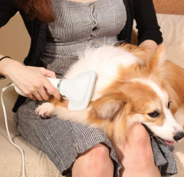 Cesalj za pse 2 u 1 Pet Grooming dryer Cesalj za pse 2 u 1 Pet Grooming dryer - Slika 7