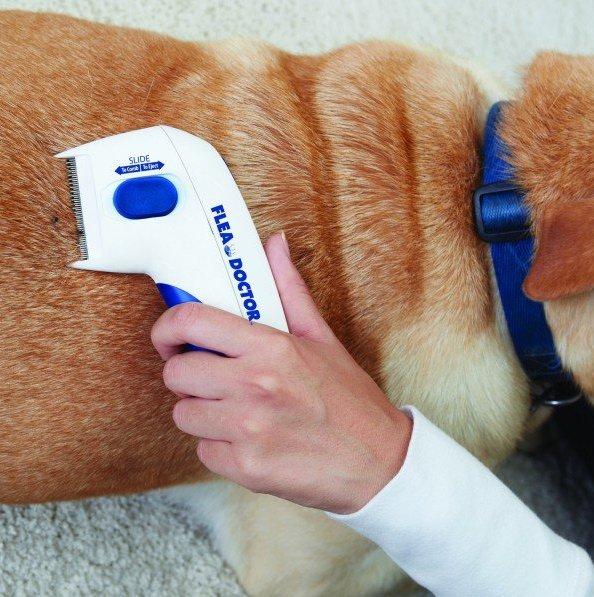 Elektricni cesalj protiv buva za ljubimce Flea Doctor