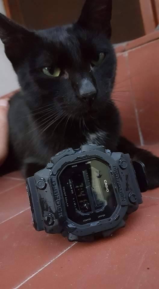 Fantastican Gumirani G Shock Fantastican Gumirani G Shock
