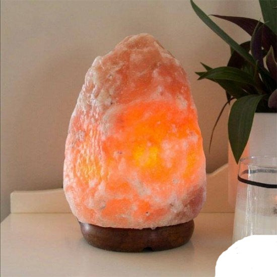 Himalajska lampa slana