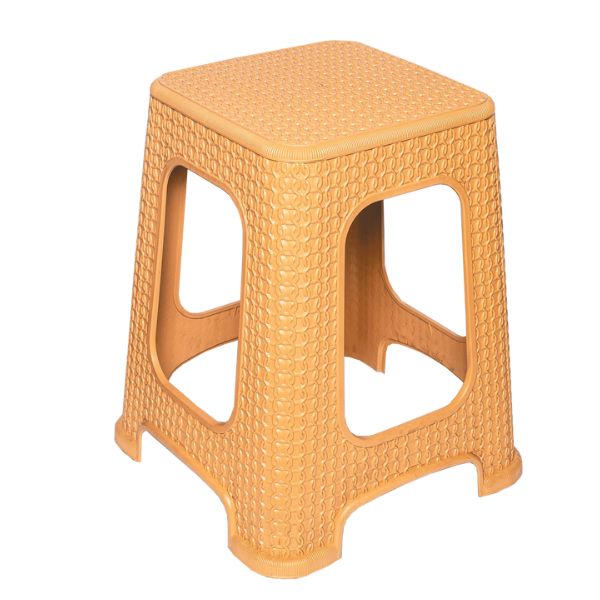 Hoklica plasticna