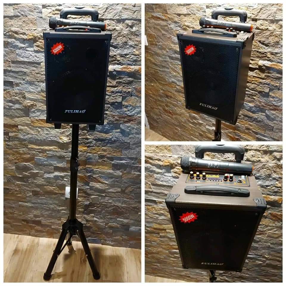 Karaoke Bluetooth Zvucnik i Bezicni mikrofon FLH Q8