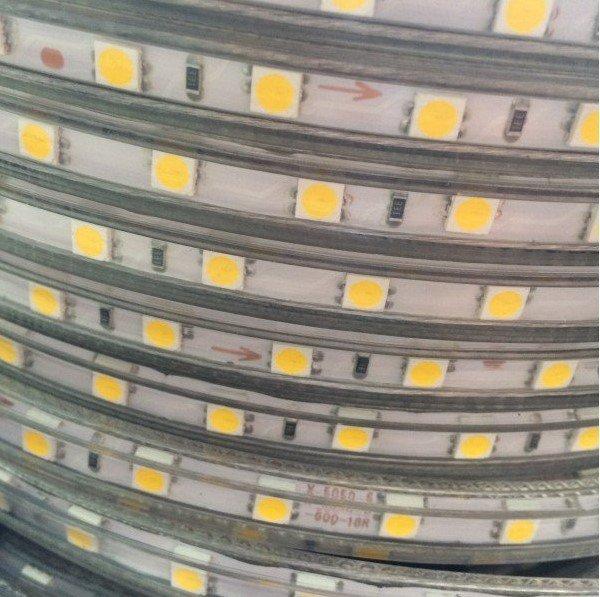 LED traka vodotporna 220V trake na metar Toplo bela i druge LED traka vodotporna 220V trake na metar Toplo bela i druge - Slika 2