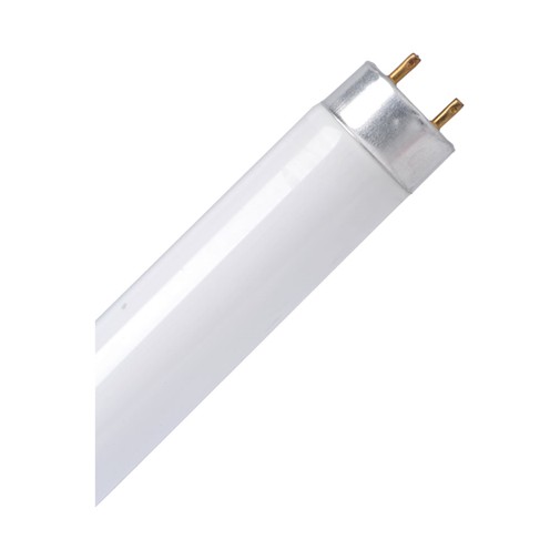 Led cev t8150 24w spectra lca1t8 24 6500k