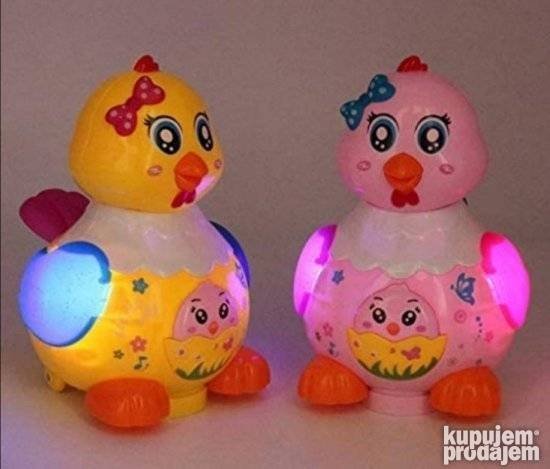 Ljubicasta muzicka koka koja nosi jaja