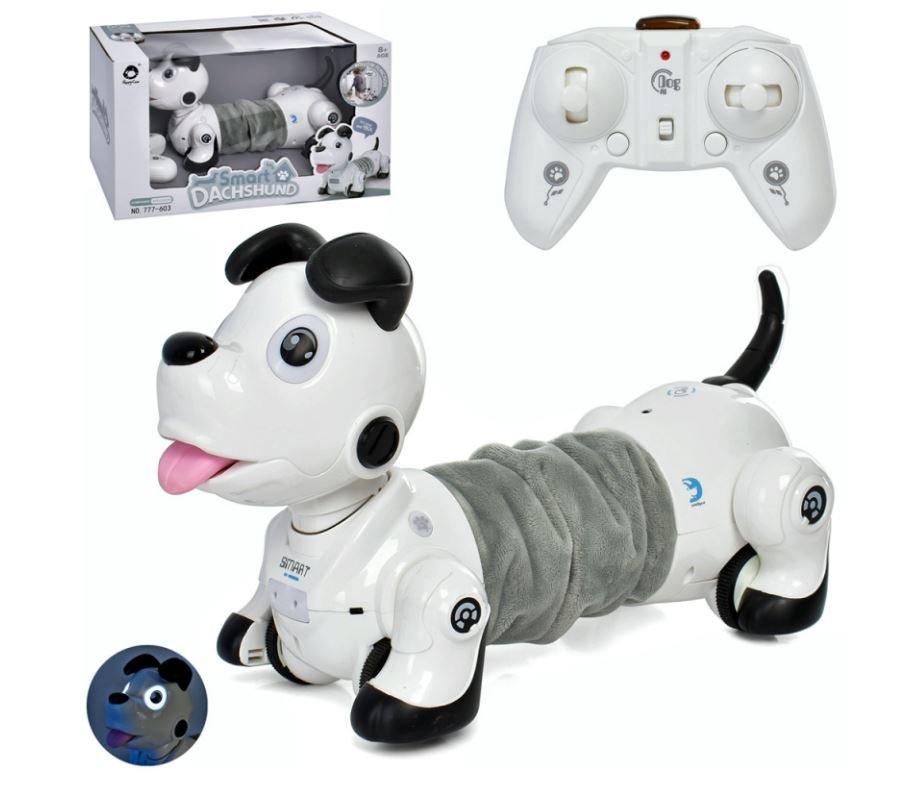 Pametni pas robot i daljinski Pametni pas robot i daljinski - Slika 4