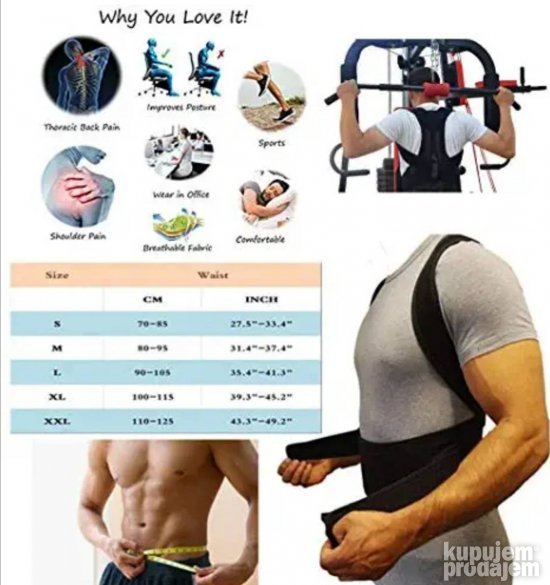 Pojas za Leda i Kicmu Back Belt