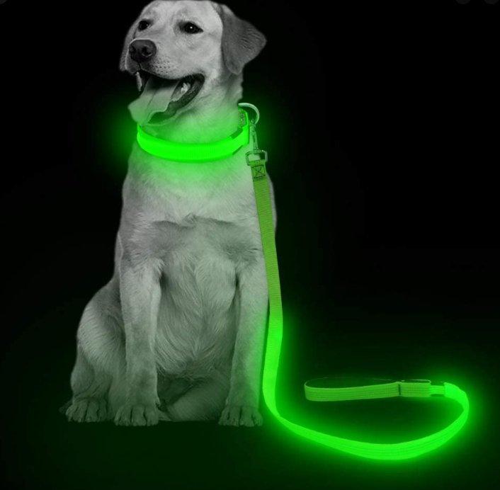 Povodac za pse sa Led svetlom