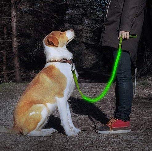 Povodac za pse sa Led svetlom