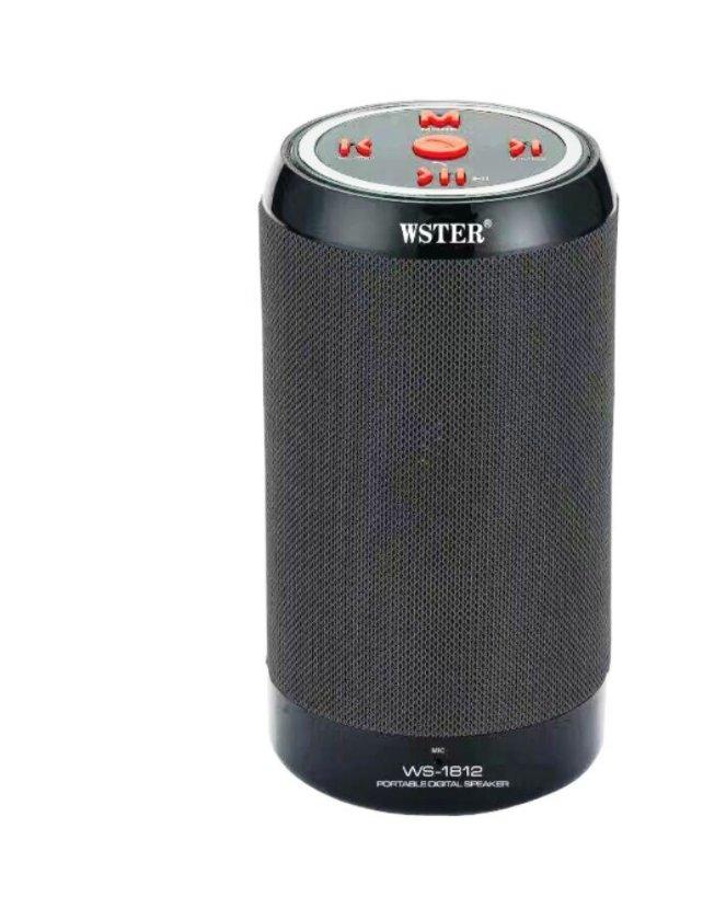 Prenosivi Bluetooth zvucnik WS 1812 - Slika 7