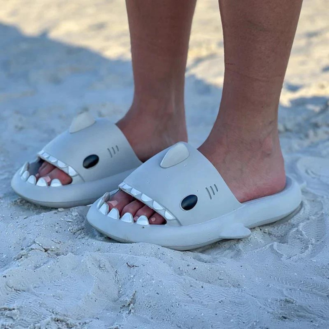 Sharky papuce 2024