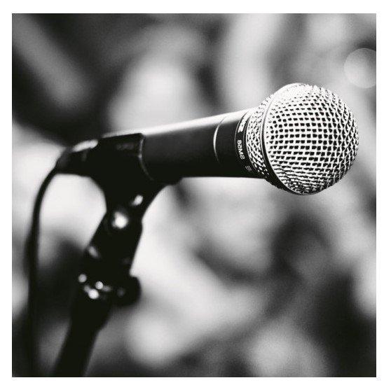 Shure SM58 legendarni mikrofon Shure SM58 legendarni mikrofon - Slika 6