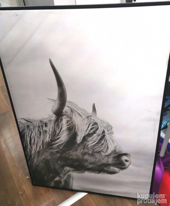 Slika velikog formata 72 x 102 cm