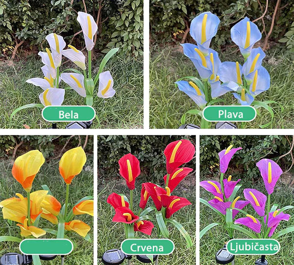 Solarna lampa Calla lili 2kom - Slika 5