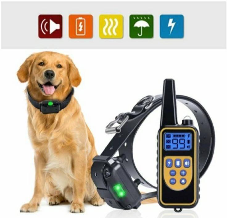 Teletakt PETCOMER Trening ogrlica za psa 800m signal Teletakt PETCOMER Trening ogrlica za psa 800m signal