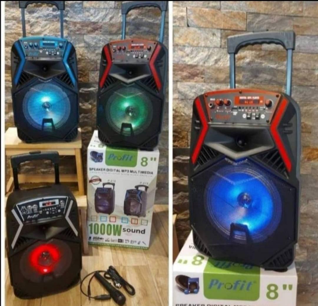 Veliki Bluetooth zvucnik i mikrofon PROFIT Veliki Bluetooth zvucnik i mikrofon PROFIT