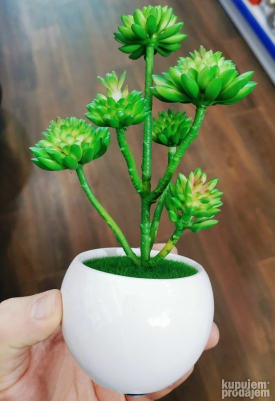 Vestacka biljka 20cm